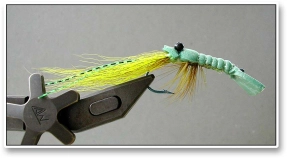 31 Craw Fly 31 Craw Fly