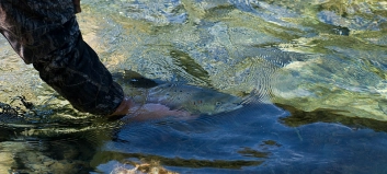 Breathe...breathe Breathe...breathe