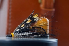 Glenn Grant Glenn Grant