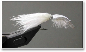 11 Foam Lipped Fly 11 Foam Lipped Fly