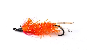 Orange thingy Orange thingy