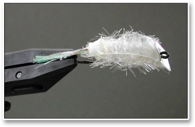 3 Lipped Fly 3 Lipped Fly