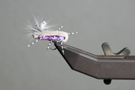 Wonder Bug Wonder Bug