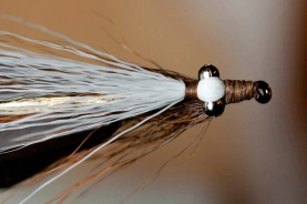 Right between the eyes Right between the eyes