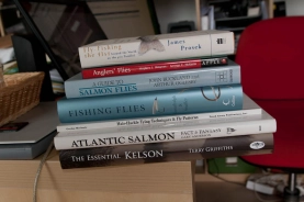 The harvest The harvest