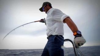 Long and fierce Long and fierce