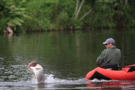 Another head shake Another head shake