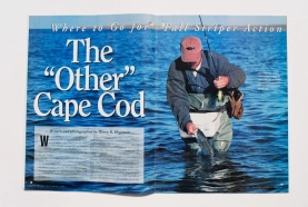 Article tearsheet Article tearsheet