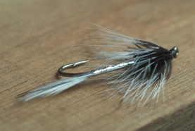 Slender rear Slender rear