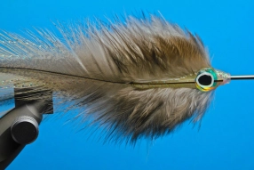 Closer look Closer look