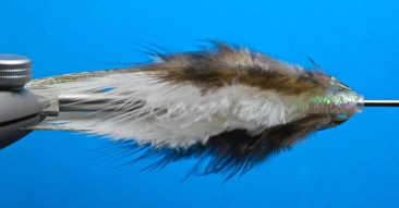 Bottom view Bottom view