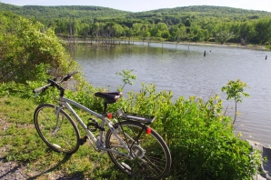 The bike by the pond The bike by the pond