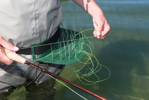 Radically different Radically different