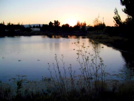 A nice bass pond A nice bass pond