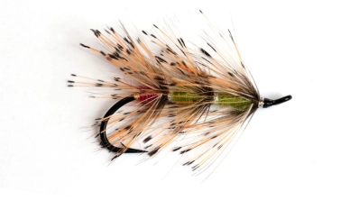 Tippet Grub Tippet Grub