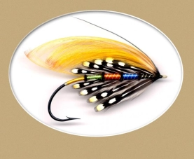 Jungle Dun Jungle Dun