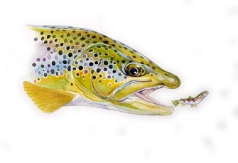 The hunter The hunter