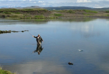 Backstrike Backstrike