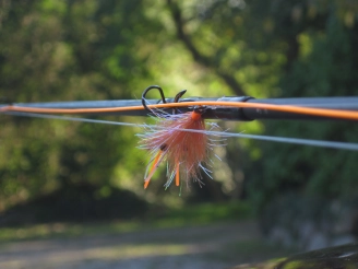 Ready to roll Ready to roll