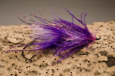 Large Purple Intruder Large Purple Intruder