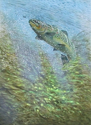 The rise and fall of Mr. Brown (tryptic) The rise and fall of Mr. Brown (tryptic)