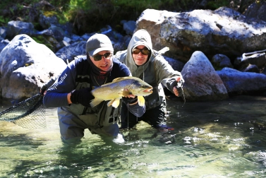 In New Zealand In New Zealand