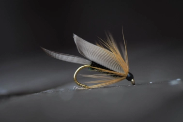 Marston's Fancy Marston's Fancy