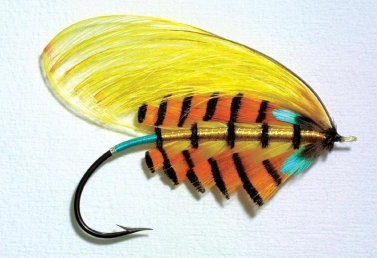 Tipperty Witchet Tipperty Witchet