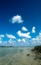 Bonefish country Bonefish country