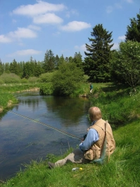Sit down and watch Sit down and watch