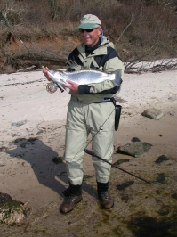 In the cradle In the cradle