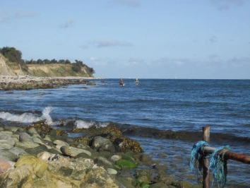 In the water In the water