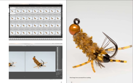 Sample pages from Imaging Imitations Sample pages from Imaging Imitations