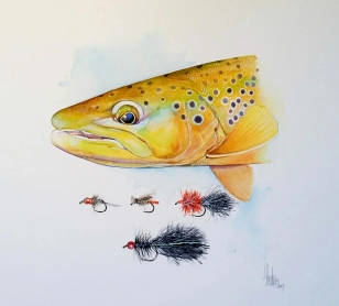 Trout and flies Trout and flies