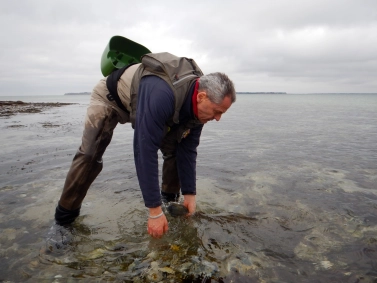 The release The release