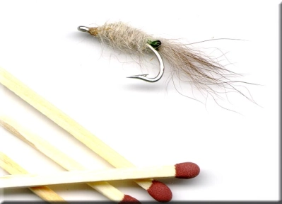 Small shrimp Small shrimp