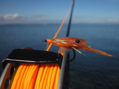 The wet Sam-I-Am The wet Sam-I-Am