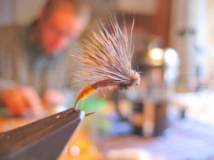 Elkjaer Caddis in the vice Elkjaer Caddis in the vice