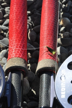 Scud pattern Scud pattern