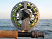 The new LiteSpeed The new LiteSpeed