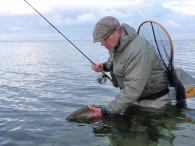 A foil fish A foil fish