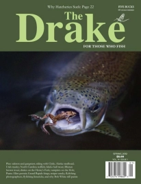 Drake cover Drake cover