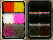 Ready to roll! Ready to roll!