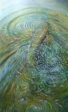 Last of the Mayfly Last of the Mayfly