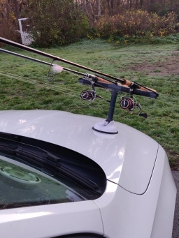 Ready to move Ready to move