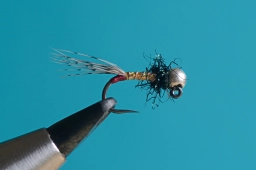 Grayling nymph Grayling nymph