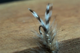 Signature tail Signature tail