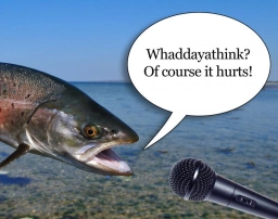 Whaddayathink? Whaddayathink?