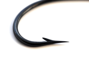 Hook point Hook point