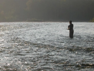 Searching the water Searching the water